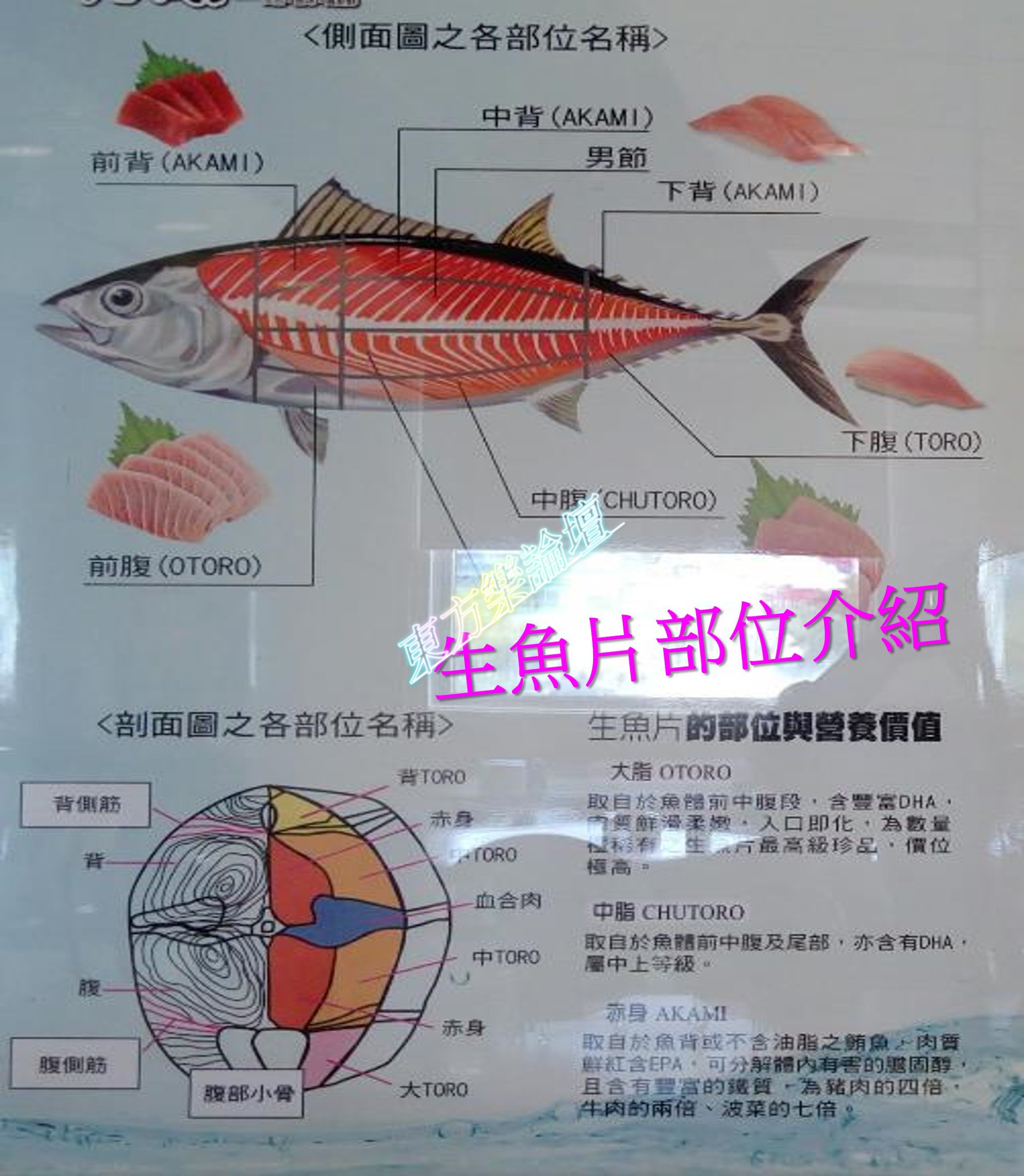 圖片1.jpg
