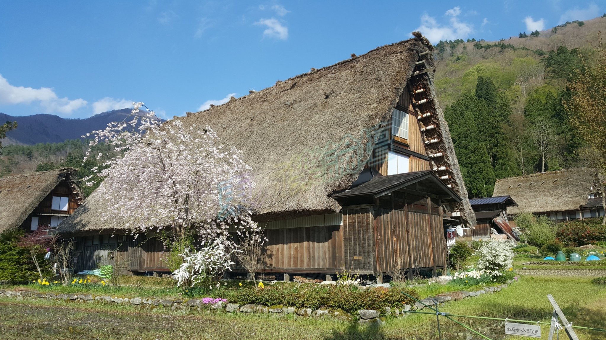 Day4_7699.jpg