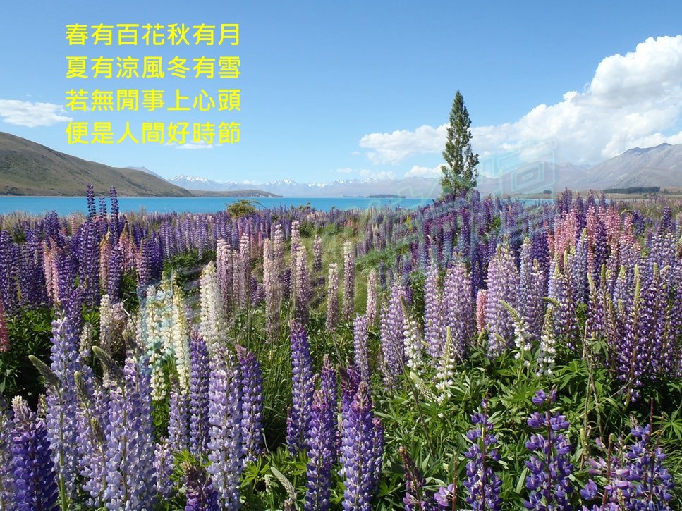 photo-1435230696243-53719f53dfe7_副本.jpg